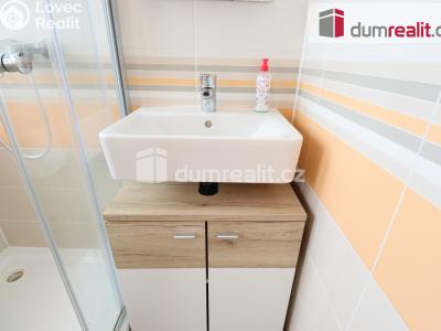 Pronájem bytu 1+1 Dalovice, Borská 49 č. 5