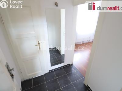 Pronájem bytu 1+1 Dalovice, Borská 49 č. 11