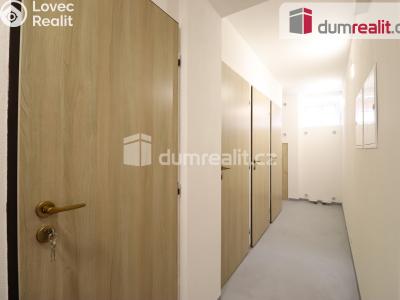 Pronájem bytu 1+1 Dalovice, Borská 49 č. 14