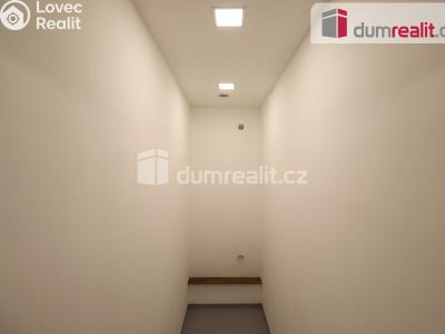 Pronájem bytu 1+1 Dalovice, Borská 49 č. 15