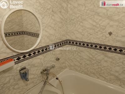 Pronájem bytu 2+1 Karlovy Vary, Šumavská 1732 č. 14