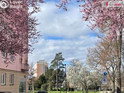 Pronájem bytu 1+KK Zlín, Sadová 154 č. 8
