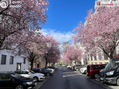 Pronájem bytu 1+KK Zlín, Sadová 154 č. 7