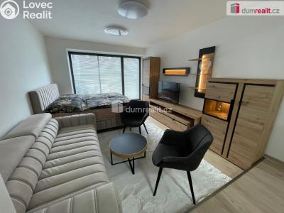 Pronájem bytu 1+KK Zlín, Sadová 154 č. 1