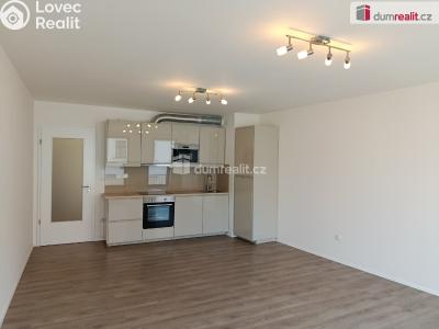 Pronájem bytu 2+KK Praha, Pod Barvířkou 3348 č. 3