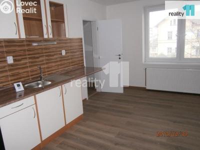 Pronájem bytu 2+1 Česká Lípa, Plynárenská č. 5
