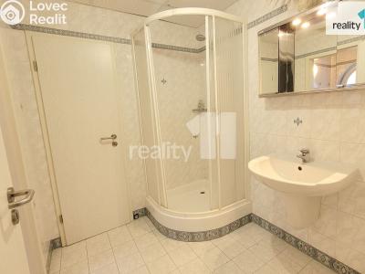 Pronájem rodinného domu Průhonice, Tovární 550 č. 10