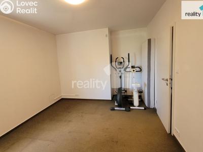 Pronájem rodinného domu Průhonice, Tovární 550 č. 24