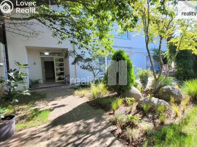 Pronájem rodinného domu Průhonice, Tovární 550 č. 27