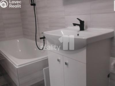 Pronájem bytu 2+1 Ostrava, Mojmírovců č. 9