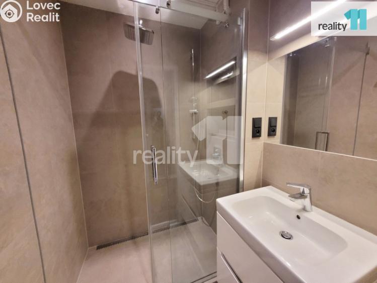 Pronájem bytu 2+1 Praha, Antala Staška 1023/59 č. 12