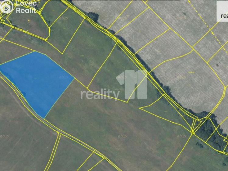 Prodej pole Ústí nad Labem, Lipová 12/23a č. 1