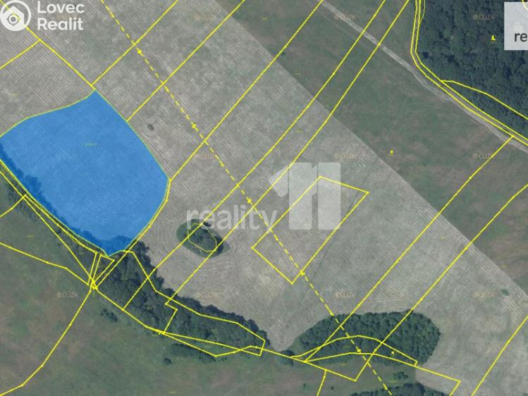Prodej pole Ústí nad Labem, Lipová 12/23a č. 1