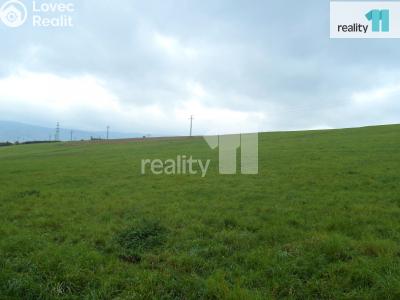 Prodej pole Ústí nad Labem, Lipová č. 4