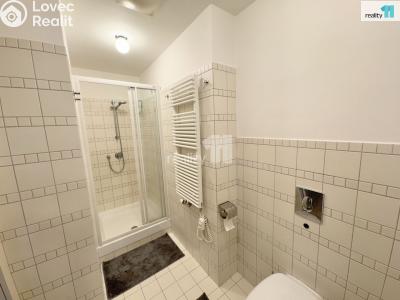 Pronájem bytu 3+KK Praha, U Kanálky č. 22