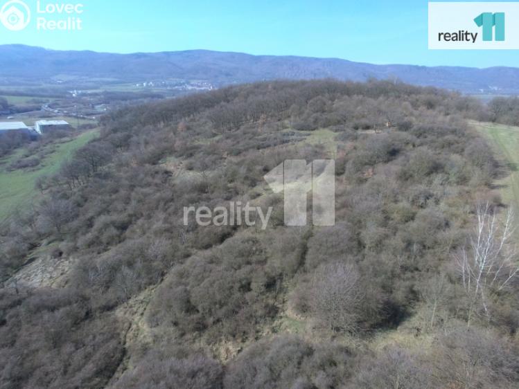 Prodej louky Chlumec č. 1