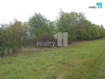 Prodej louky Chlumec č. 2