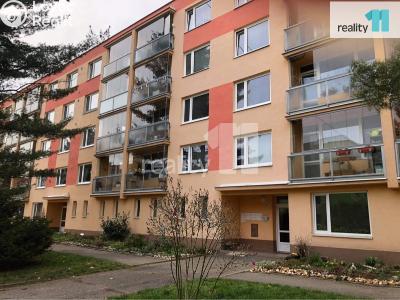 Prodej bytu 2+KK Stráž pod Ralskem, Hornická 302 č. 11