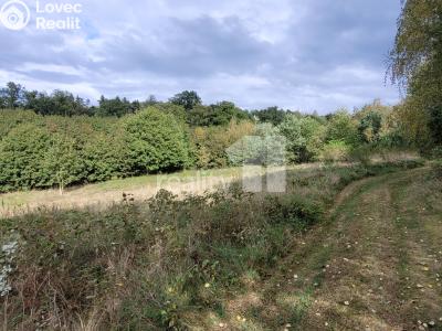 Prodej stavebního pozemku Písek, třída Přátelství 2002 č. 12