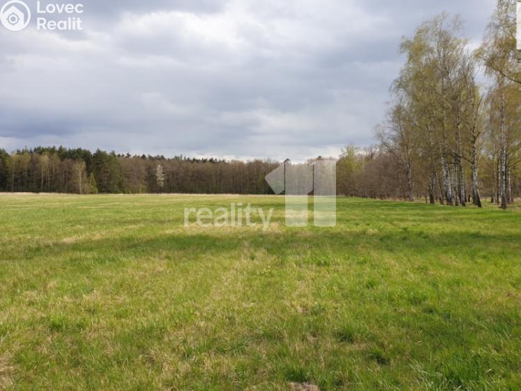 Prodej pole Hradec Králové, K Břízkám 4/7 č. 4