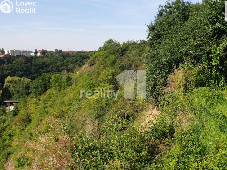 Prodej louky Praha, Evropská 503/221 č. 5