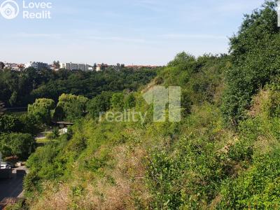 Prodej louky Praha, Evropská č. 6