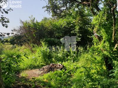 Prodej louky Praha, Evropská č. 8