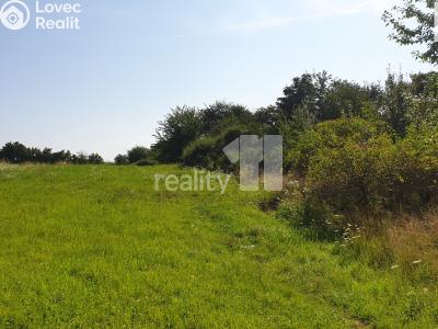 Prodej louky Praha, Evropská č. 9