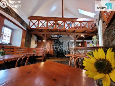 Pronájem komerční nemovitosti Kolín, Havelcova 271 č. 2