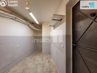 Pronájem komerční nemovitosti Kolín, Havelcova 271 č. 24