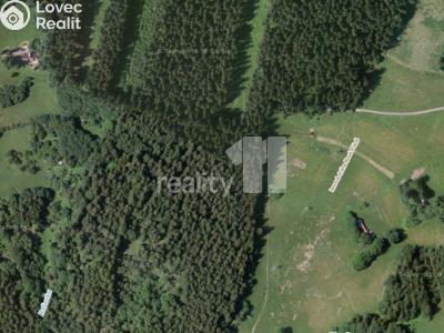 Prodej rodinného domu Světlá pod Ještědem č. 14