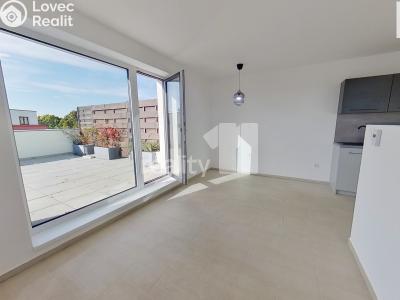 Pronájem bytu 3+KK Pelhřimov, Habrová 2424 č. 2