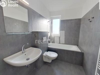 Pronájem bytu 3+KK Pelhřimov, Habrová 2424 č. 8