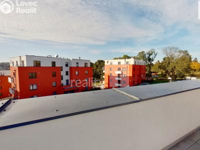 Pronájem bytu 3+KK Pelhřimov, Habrová 2424 č. 13