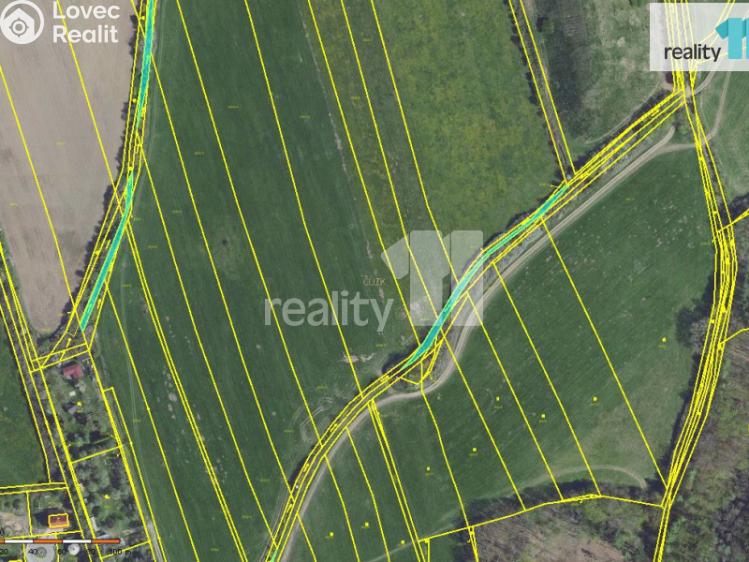 Prodej pole Svinaře, Březová 142 č. 4