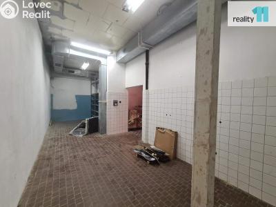 Pronájem skladového prostoru Vitice č. 10