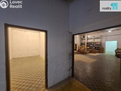 Pronájem skladového prostoru Vitice č. 11