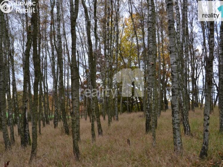 Prodej pozemku Stráž pod Ralskem, Náměstí 5. května 148 č. 3