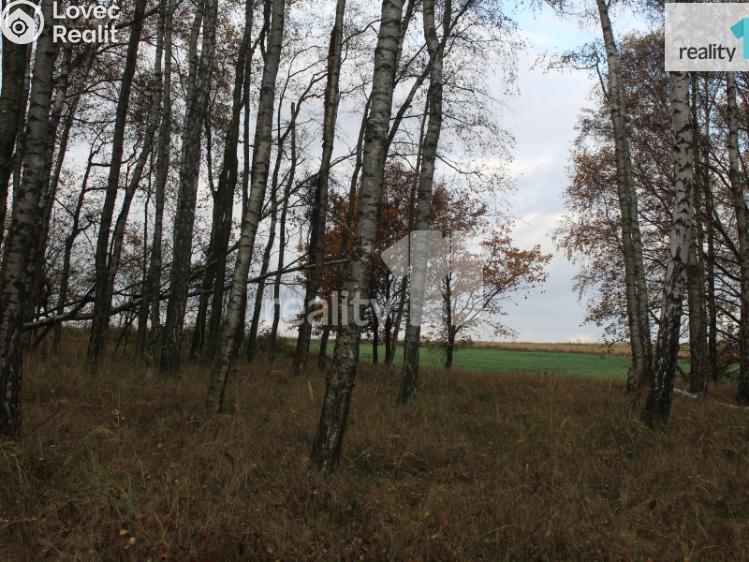 Prodej pozemku Stráž pod Ralskem, Náměstí 5. května 148 č. 4