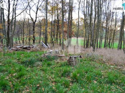 Prodej pozemku Stráž pod Ralskem, Náměstí 5. května 148 č. 2