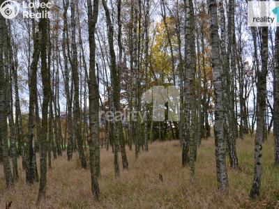 Prodej pozemku Stráž pod Ralskem, Náměstí 5. května 148 č. 3