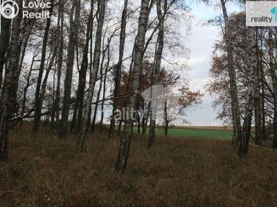 Prodej pozemku Stráž pod Ralskem, Náměstí 5. května 148 č. 4