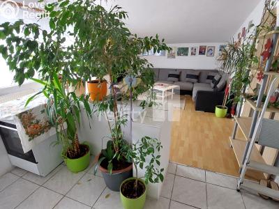 Prodej rodinného domu Nové Sedlo, Zahradní 343 č. 15