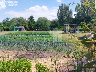 Prodej rodinného domu Nové Sedlo, Zahradní 343 č. 6