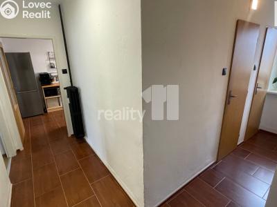 Pronájem bytu 2+1 Humpolec, V Brance 1016 č. 7