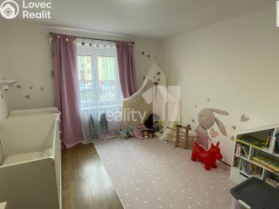 Pronájem bytu 2+1 Humpolec, V Brance 1016 č. 10