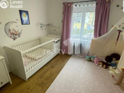 Pronájem bytu 2+1 Humpolec, V Brance 1016 č. 11