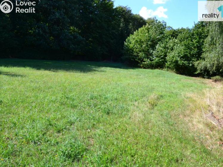 Prodej stavebního pozemku Rybniště č. 2