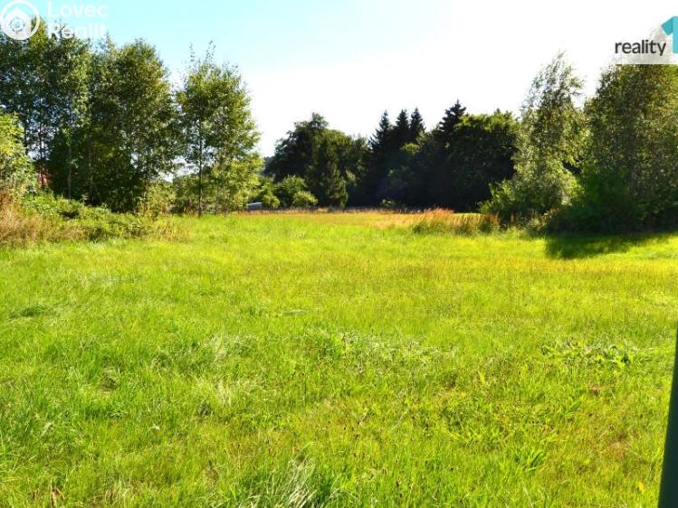 Prodej stavebního pozemku Rybniště č. 4