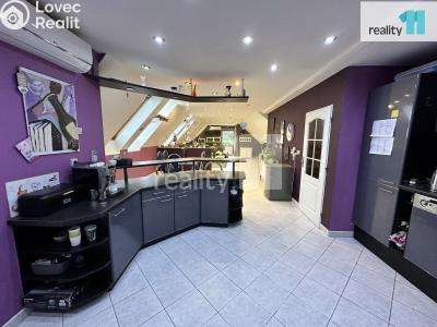 Prodej komerční nemovitosti Česká Lípa, Sokolská 287 č. 2